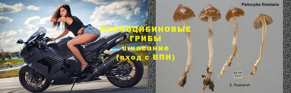 соль ск Одинцово