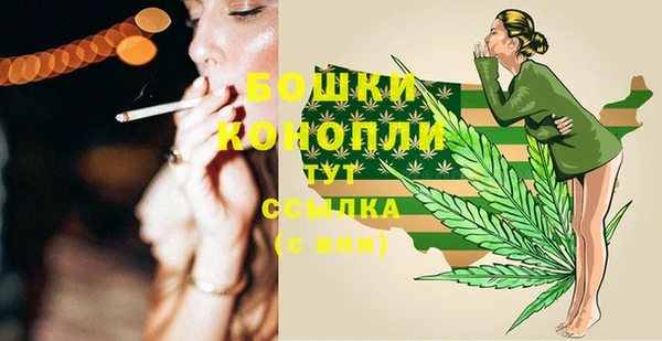 МДПВ Михайлов